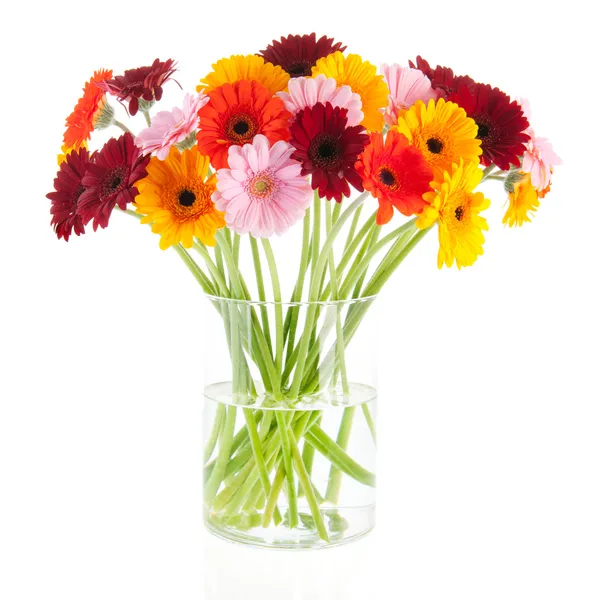 Bouquet Gerber flowers in glass vase — Stock Photo, Image