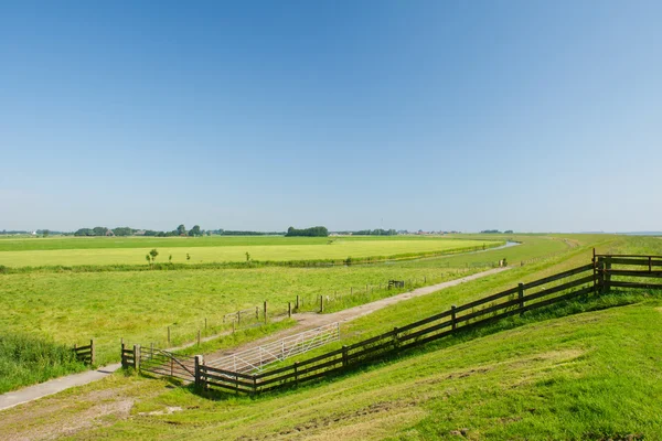 Paisaje agrucultural holandés — Foto de Stock