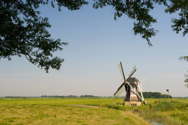 Holländsk väderkvarn i friesland — Stockfoto