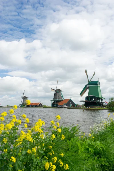 Větrné mlýny v holandské zaanse schans — Stock fotografie