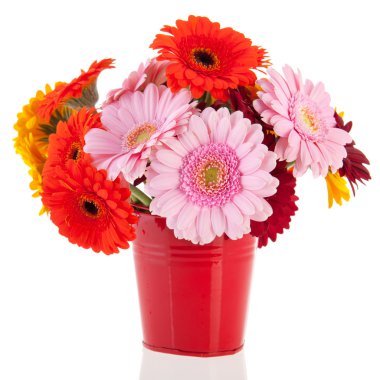 buket gerber çiçek