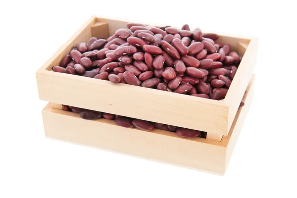 板条箱棕色豆 — 图库照片
