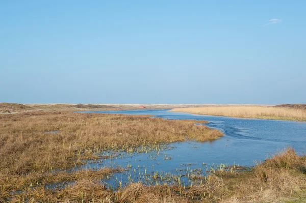 Loodsmansduin bij Nederlandse texel — Stockfoto