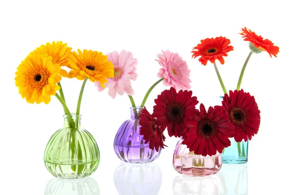 Glass vases with colorful Gerber flowers — Stock Photo, Image