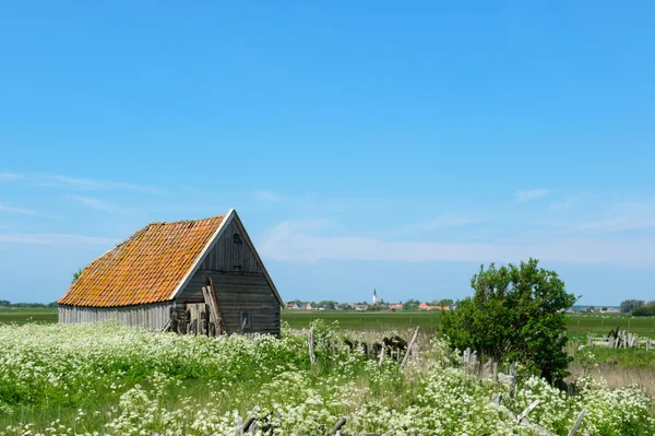 Barn at island Texel — Stock Photo, Image