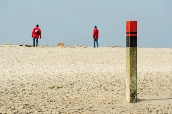 Drewniany słup plaża texel — Zdjęcie stockowe