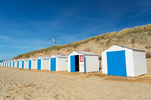 Blå strandkojor — Stockfoto