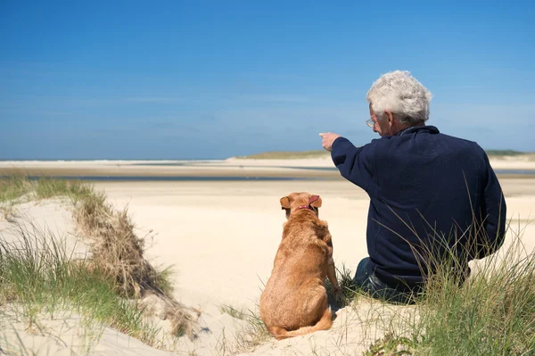 Homme avec chien sur dune de sable — Photo