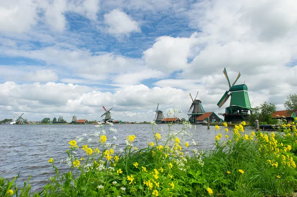 Ветряные мельницы на голландском Заансе-Шанс — стоковое фото