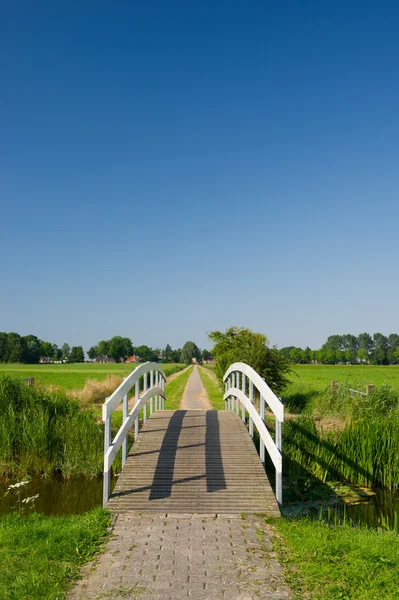 Ponte na paisagem — Fotografia de Stock