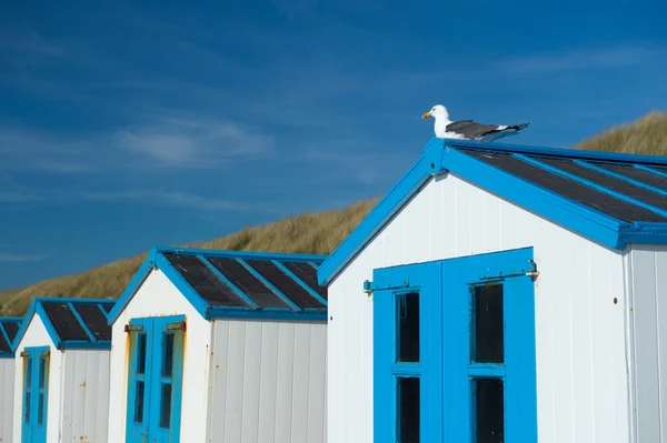 Blauwe Strandhutten — Stockfoto