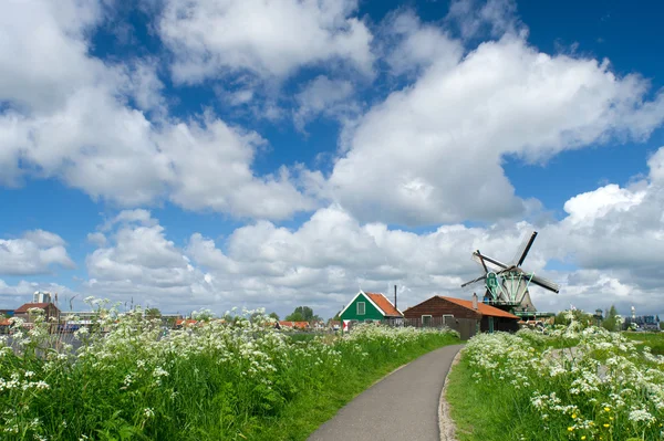 Windmolens aan Nederlandse zaanse schans — Stockfoto