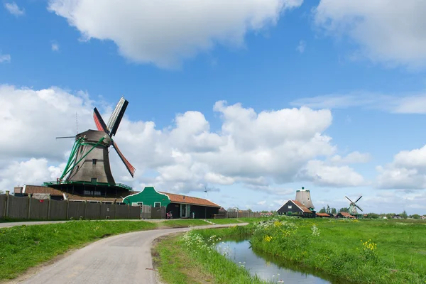 Hollandalı zaanse Schans'a, yeldeğirmenleri