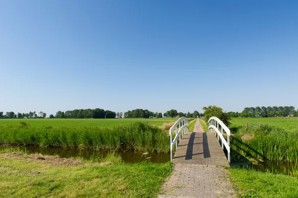 Pont dans le paysage — Photo