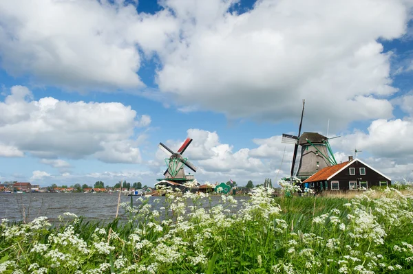 Windmills at Dutch Zaanse Schans — Stock Photo, Image