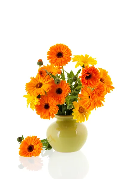 Oranje goudsbloemen — Stockfoto