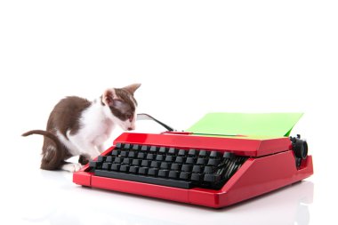 Daktilo ile kedi