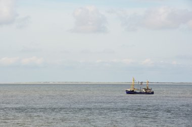 árboles de la fila con la zanja