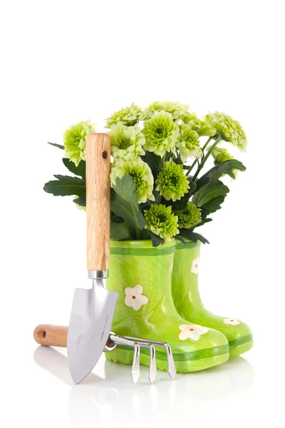 Zahradnictví s květinami — Stock fotografie