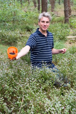 yaban mersini ile gurur