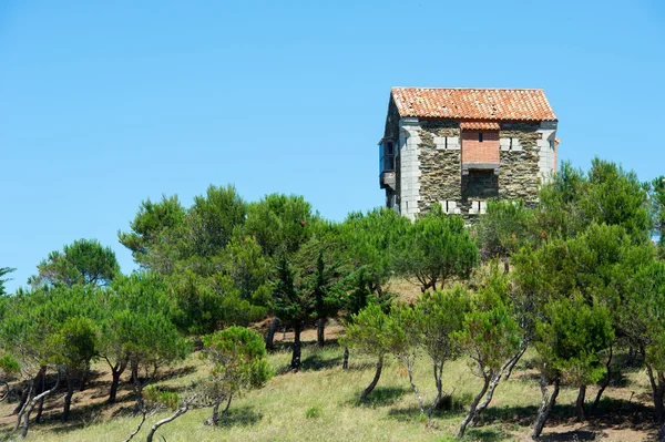 Starý dům port vendres — Stock fotografie