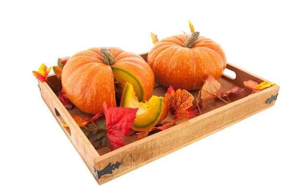 Pumpkins on wooden tray — Stock Photo, Image