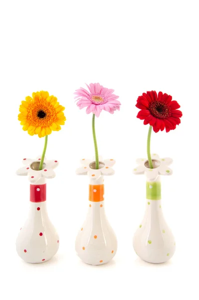 Gerber flowers in vases — Stock Photo, Image