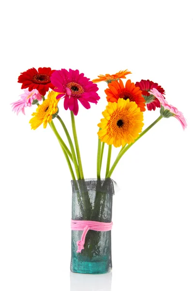 Gerber flowers in vase — Stock Photo, Image
