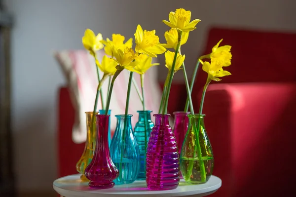 Κίτρινο daffodils στο εσωτερικό — Φωτογραφία Αρχείου