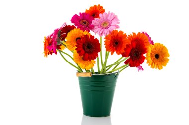renkli buket gerber çiçek