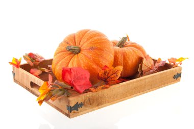 Bütün Balkabağı ahşap tepsi