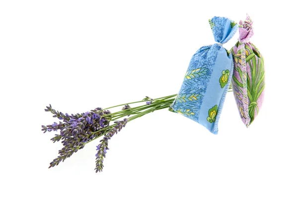 Französischer Lavendel — Stockfoto