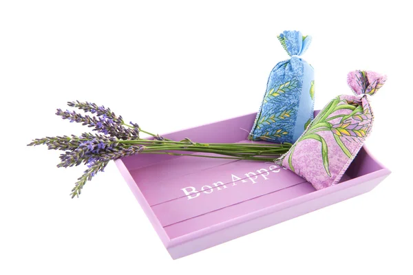 French lavender — Stock Photo, Image