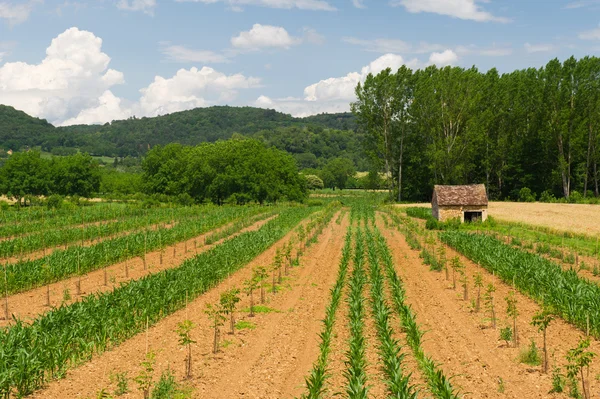 Französische Landschaft — Stockfoto