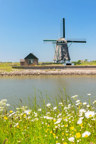 Vindmølle på hollandske ø Texel - Stock-foto