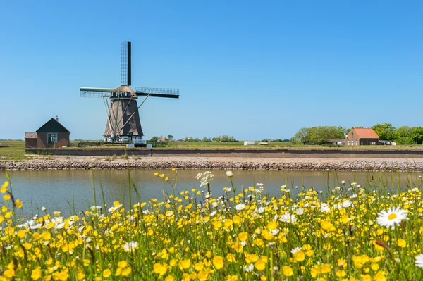 Wiatrak w holenderskiej wyspie texel — Zdjęcie stockowe