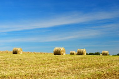 rulo saman alanları