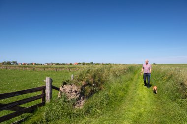 köpek ile Hollandalı texel üzerinde yürüyüş