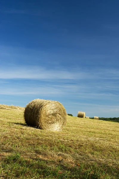 Rolo de feno na paisagem — Fotografia de Stock