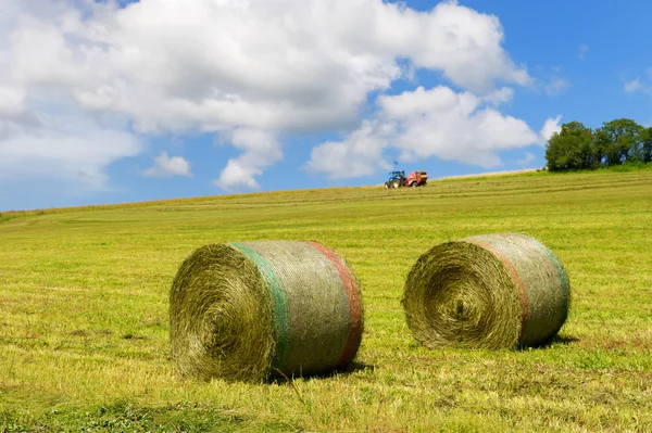 Oogst van rollen hooi — Stockfoto