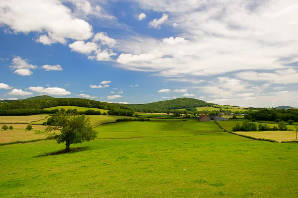 Široká krajina v francouzsky bourgogne — Stockfoto