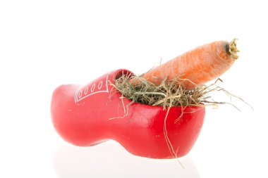 sinterklaas için havuç