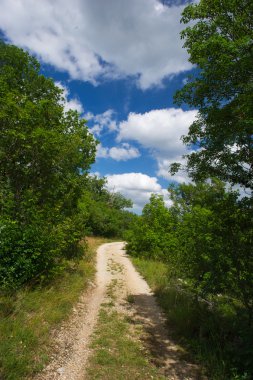 Fransız doğanın yolu