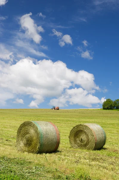 Récolte des rouleaux de foin — Photo