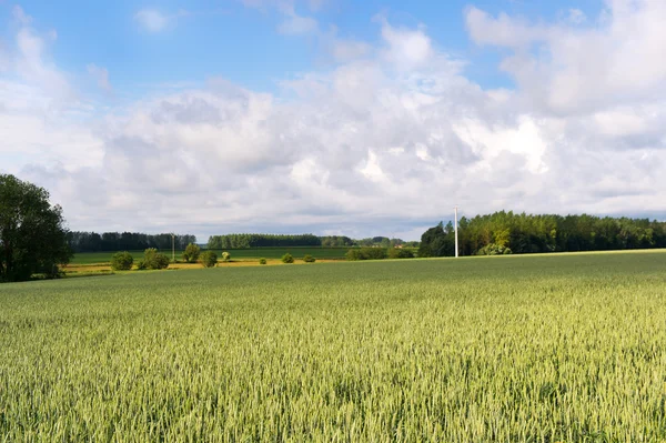 Landbrugslandskab i Frankrig - Stock-foto