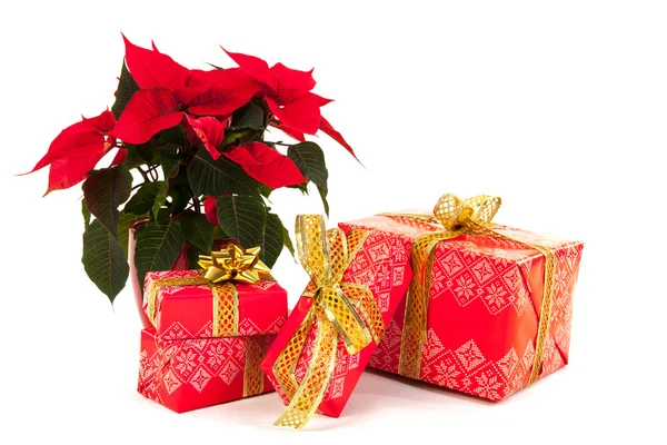Presentes de Natal de luxo vermelho — Fotografia de Stock