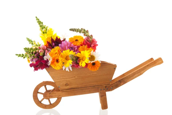 Kleurrijke boeket tuin bloemen in wiel barrow — Stockfoto