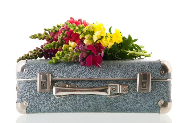 Smok kwiaty na rocznika walizki — Zdjęcie stockowe