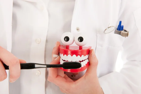 Dentist with brush and denture showing ho to do — Stockfoto