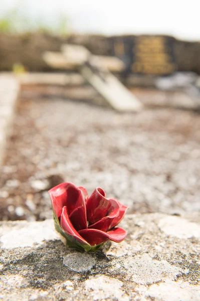 Каменная роза на старом кладбище — стоковое фото